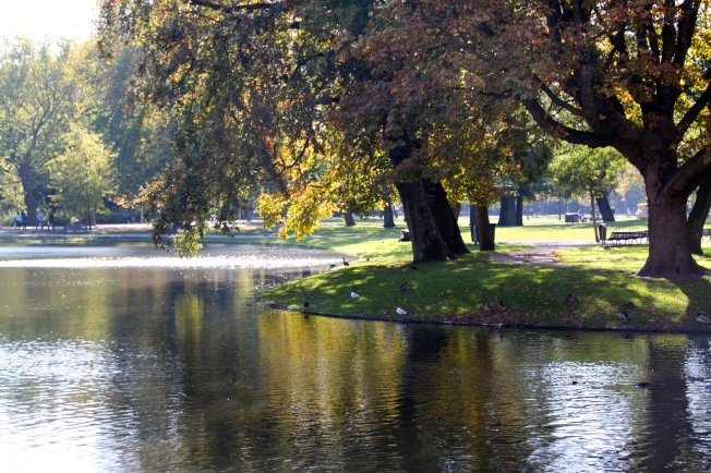 Pequeño estanque en Vondelpark